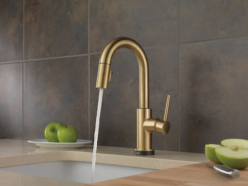 Trinsic faucet by Delta